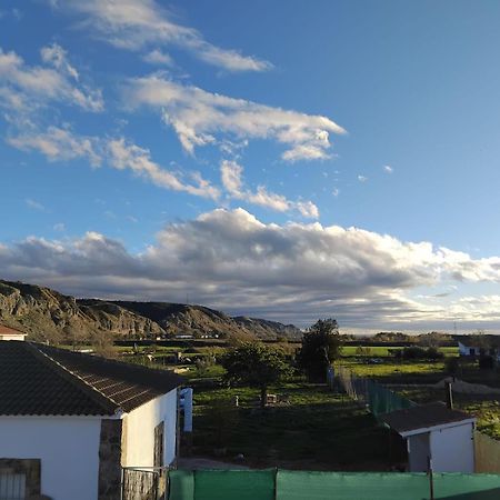 Las Moreras San Martín de la Vega المظهر الخارجي الصورة